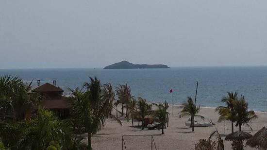 Farallon Butterflies