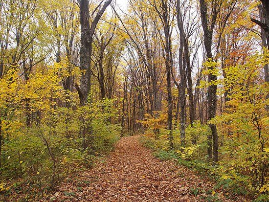Medvednica Nature Park