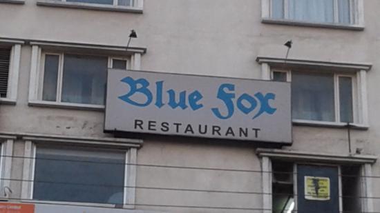 Blue Fox