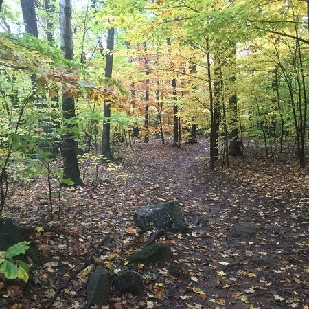 Parc Valero Les Ecarts