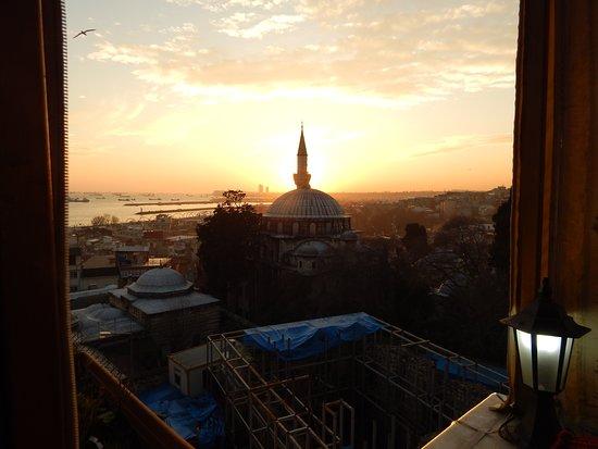 Vaha Cafe & Restaurant