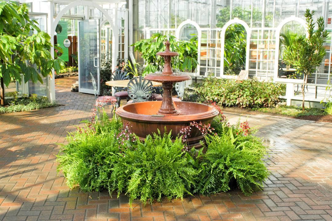 Atmosphere and Environment XI