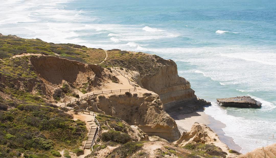 Torrey Pines State Reserve