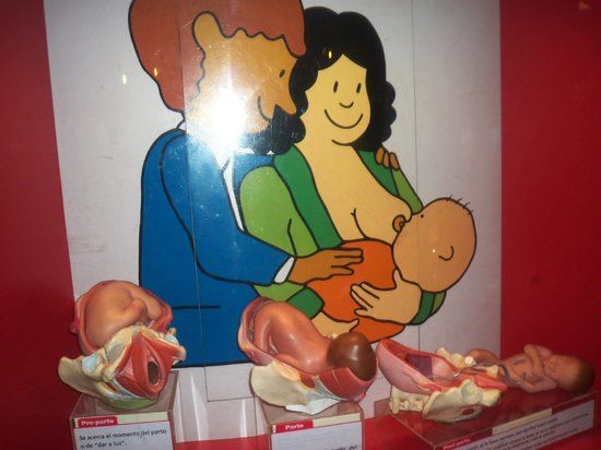 Caracas Çocuk Müzesi