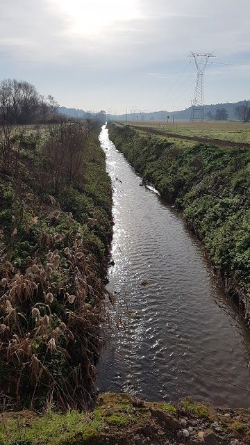 Regional Park of Decima-Malafede