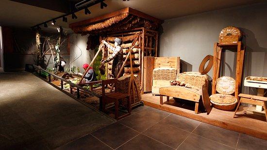 Museum of Samsun