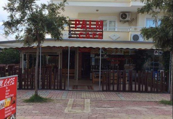 Palm Cafe