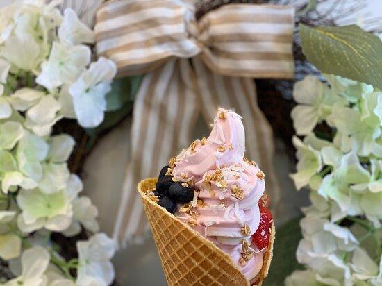 Sweet Susie's Frozen Treats