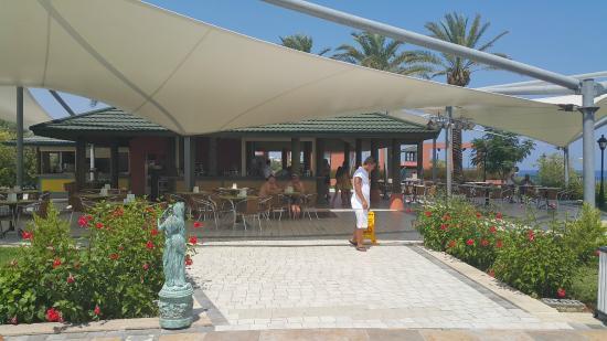 Dolphin Bar