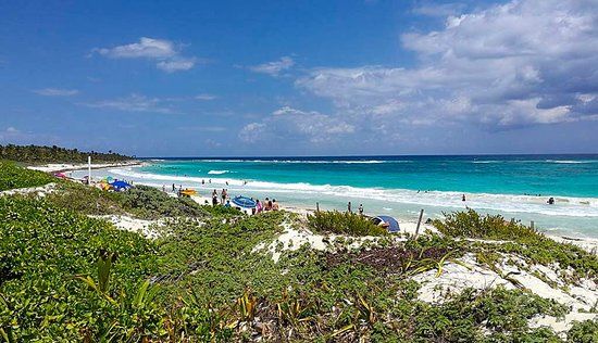 Santuario de la Tortuga Marina Xcacel Xcacelito