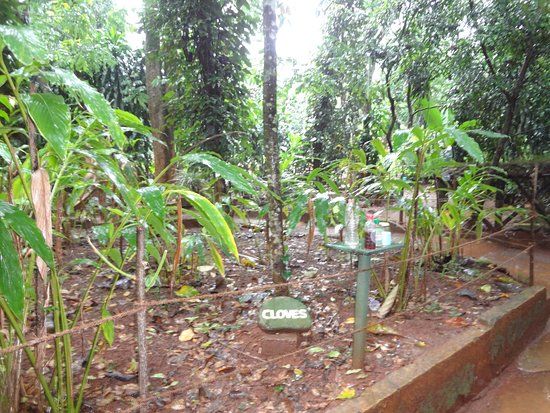 Sirilak Spice & Herbal Garden