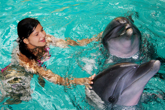 Istanbul Dolphinarium