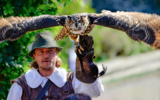 Falconeria di Locarno