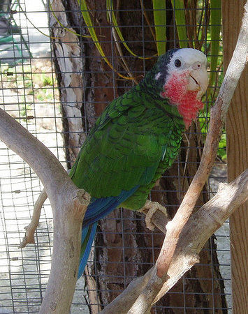 Rand Memorial Nature Center