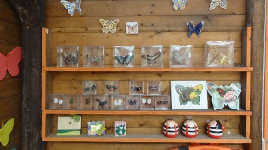 Butterfly House