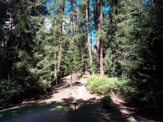 Parco Abbe J.M. Henry