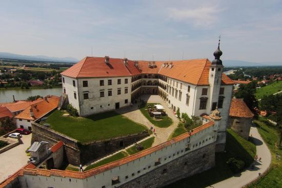 Castello di Ptuj