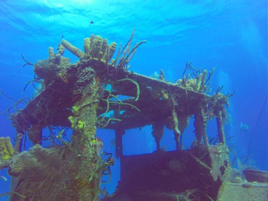 Oro Verde Wreck