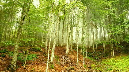 Nebiyan Mountain