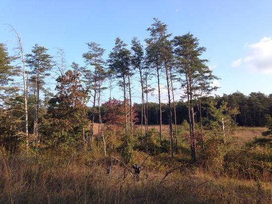 Soldiers Delight Natural Environment Area